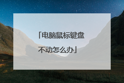 电脑鼠标键盘不动怎么办