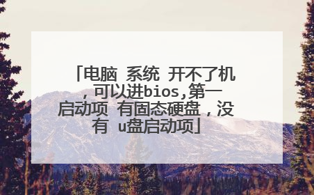 电脑 系统 开不了机，可以进bios,第一启动项 有固态硬盘，没有 u盘启动项
