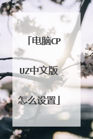 电脑CPUZ中文版怎么设置