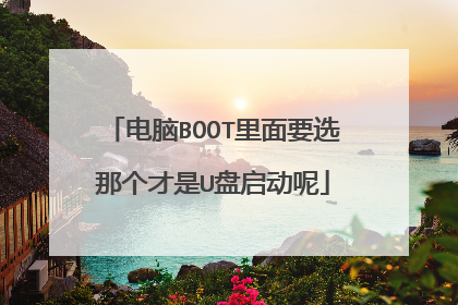 电脑BOOT里面要选那个才是U盘启动呢