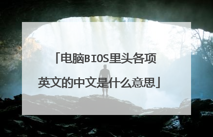 电脑BIOS里头各项英文的中文是什么意思