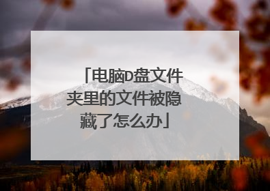 电脑D盘文件夹里的文件被隐藏了怎么办