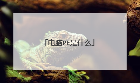 电脑PE是什么