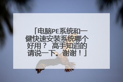 电脑PE系统和一健快速安装系统哪个好用？ 高手知道的请说一下。谢谢！