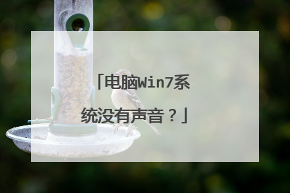电脑Win7系统没有声音?