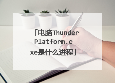 电脑ThunderPlatform.exe是什么进程