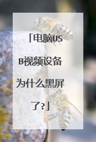 电脑USB视频设备为什么黑屏了?
