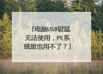 电脑USB键鼠无法使用,PE系统里也用不了?