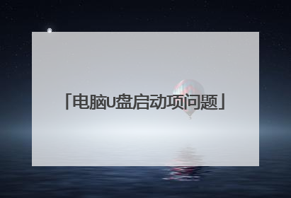 电脑U盘启动项问题