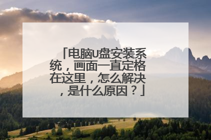 电脑U盘安装系统,画面一直定格在这里,怎么解决,是什么原因?
