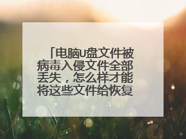 电脑U盘文件被病毒入侵文件全部丢失，怎么样才能将这些文件给恢复回来？