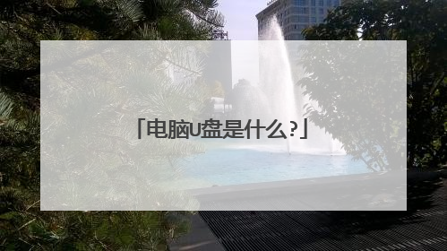 电脑U盘是什么?