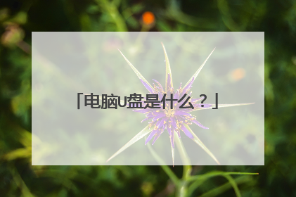 电脑U盘是什么?
