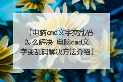 电脑cmd文字变乱码怎么解决 电脑cmd文字变乱码解决方法介绍