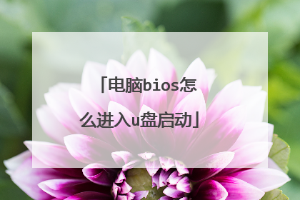 电脑bios怎么进入u盘启动