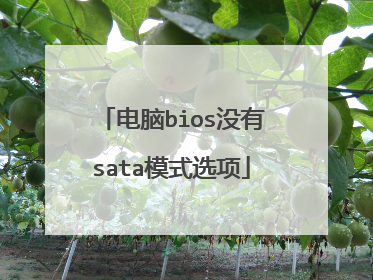 电脑bios没有sata模式选项