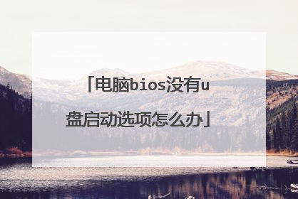 电脑bios没有u盘启动选项怎么办