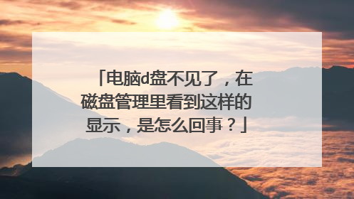 电脑d盘不见了,在磁盘管理里看到这样的显示,是怎么回事?