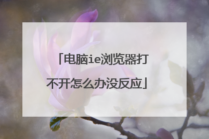 电脑ie浏览器打不开怎么办没反应
