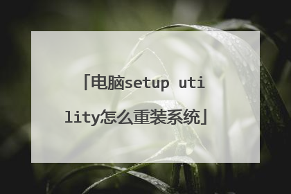 电脑setup utility怎么重装系统