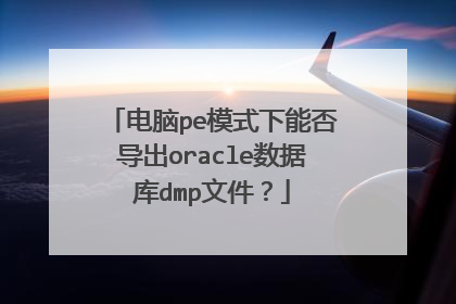 电脑pe模式下能否导出oracle数据库dmp文件?