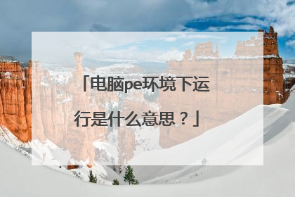 电脑pe环境下运行是什么意思?