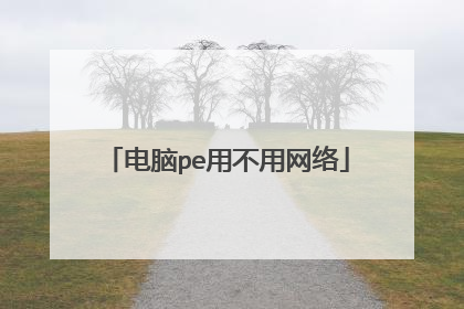 电脑pe用不用网络