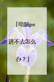 电脑pe进不去怎么办?