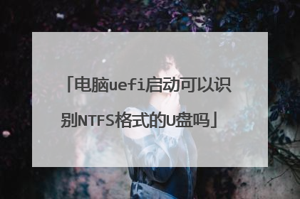 电脑uefi启动可以识别NTFS格式的U盘吗
