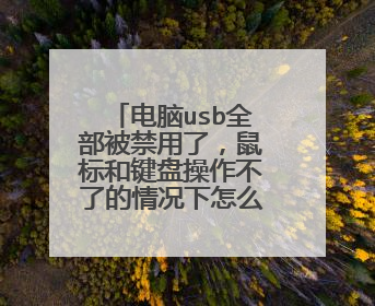 电脑usb全部被禁用了,鼠标和键盘操作不了的情况下怎么弄?