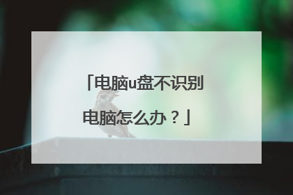 电脑u盘不识别电脑怎么办？