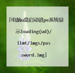 电脑u盘启动进pe系统显示loading(ud)/ilmt/imgs/password.img