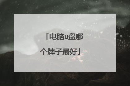 电脑u盘哪个牌子最好