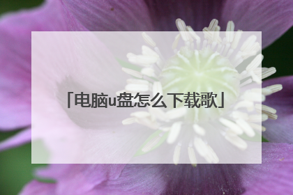电脑u盘怎么下载歌