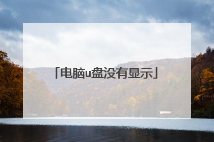 电脑u盘没有显示