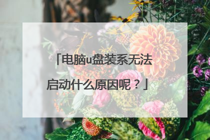 电脑u盘装系无法启动什么原因呢?