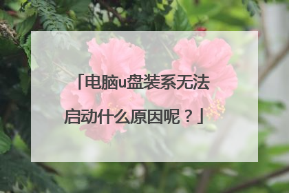 电脑u盘装系无法启动什么原因呢?