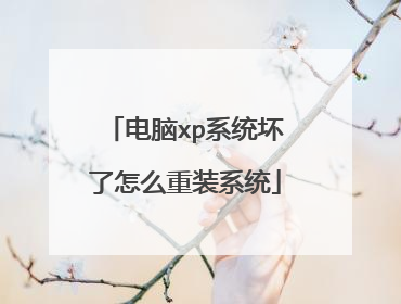 电脑xp系统坏了怎么重装系统
