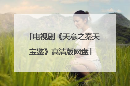 电视剧《天意之秦天宝鉴》高清版网盘