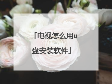 电视怎么用u盘安装软件