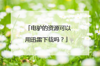 电驴的资源可以用迅雷下载吗?