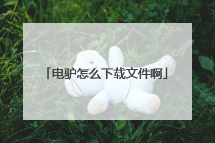 电驴怎么下载文件啊