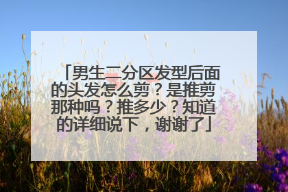 男生二分区发型后面的头发怎么剪?是推剪那种吗?推多少?知道的详细说下,谢谢了