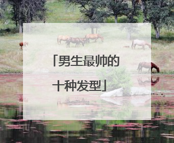 男生最帅的十种发型
