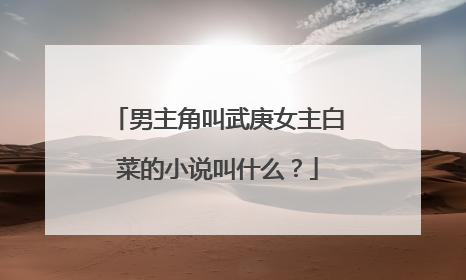 男主角叫武庚女主白菜的小说叫什么?