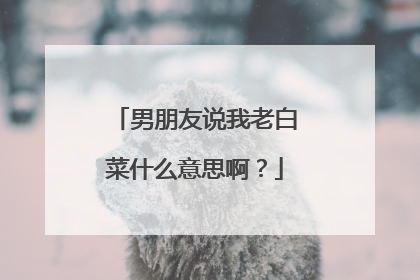 男朋友说我老白菜什么意思啊？