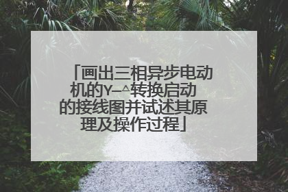 画出三相异步电动机的Y—△转换启动的接线图并试述其原理及操作过程