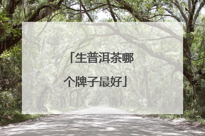生普洱茶哪个牌子最好