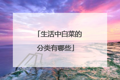 生活中白菜的分类有哪些
