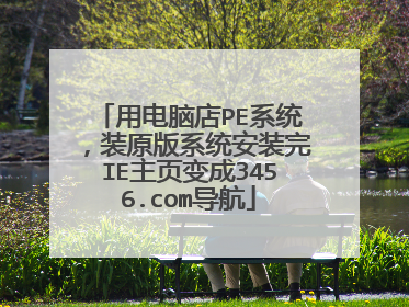 用电脑店PE系统,装原版系统安装完IE主页变成3456.com导航
